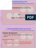 Sistem Reproduksi Pada Manusia