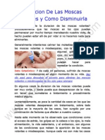 Duracion De Las Moscas Volantes en Los Ojos - Cual Es La Duracion De Las Moscas Volantes o Miodesopsias