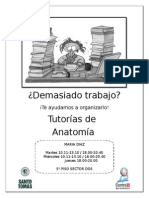 Anatomia