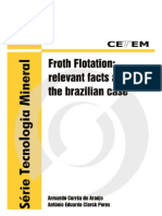 Froth Flotation: Relevant Facts and The Brazilian Case
