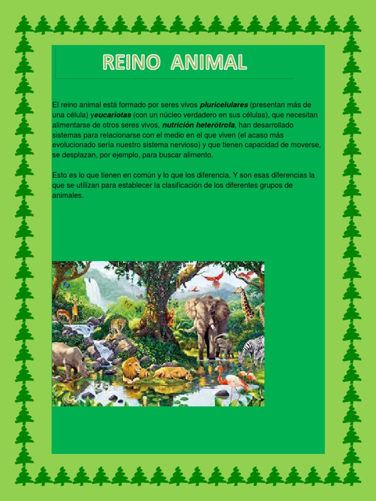 El Reino Animal Está Formado Por Seres Vivos | PDF | Organismos | Ciencias  de la vida
