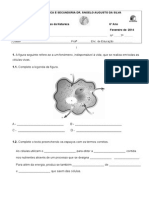 4ºTeste 6º6