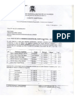 Resolucion Comision Electoral