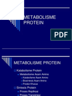 METABOLISME PROTEIN+AS - AMINO FKG