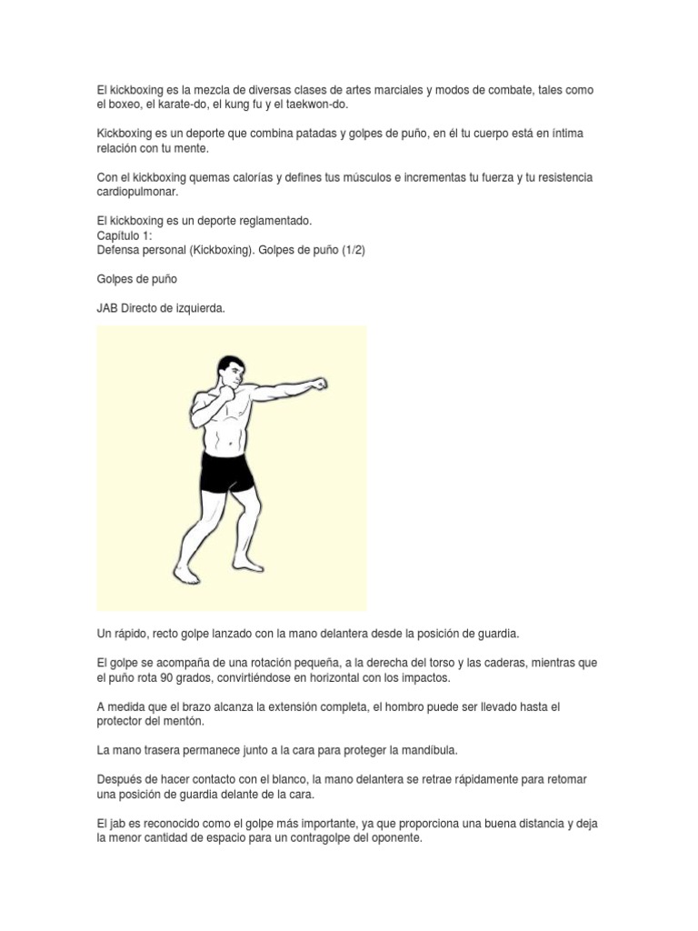 Técnicas y golpes en Kickboxing | PDF | Autodefensa | Deportes de combate