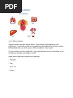 Download Sistem Ekskresi pada by b  vc  SN23922983 doc pdf