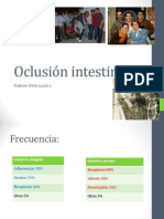 Oclusión Intestinal