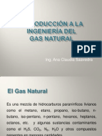Presentación 1. Gas Natural