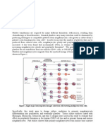 Erum Ahmed - MBP Final Report