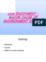 Our Enjoyment - Major Cause of Environment Damage
