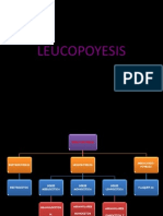 Leucopoyesis