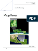 Magallanes Summary 1