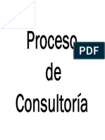 DO - 11 Proceso de Consultoria AAS