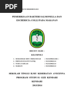 Download Laporan Praktikum Mikrobiologi Makanan by Stephanie Snow SN239288291 doc pdf