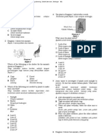 IT Sci Y4 Final Year Examination (Set 1) - SKKB