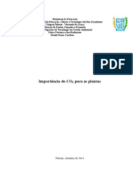 A importância do CO2 para as plantas