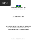 Capital Cultural e Sucesso Escolar No Meio Popular