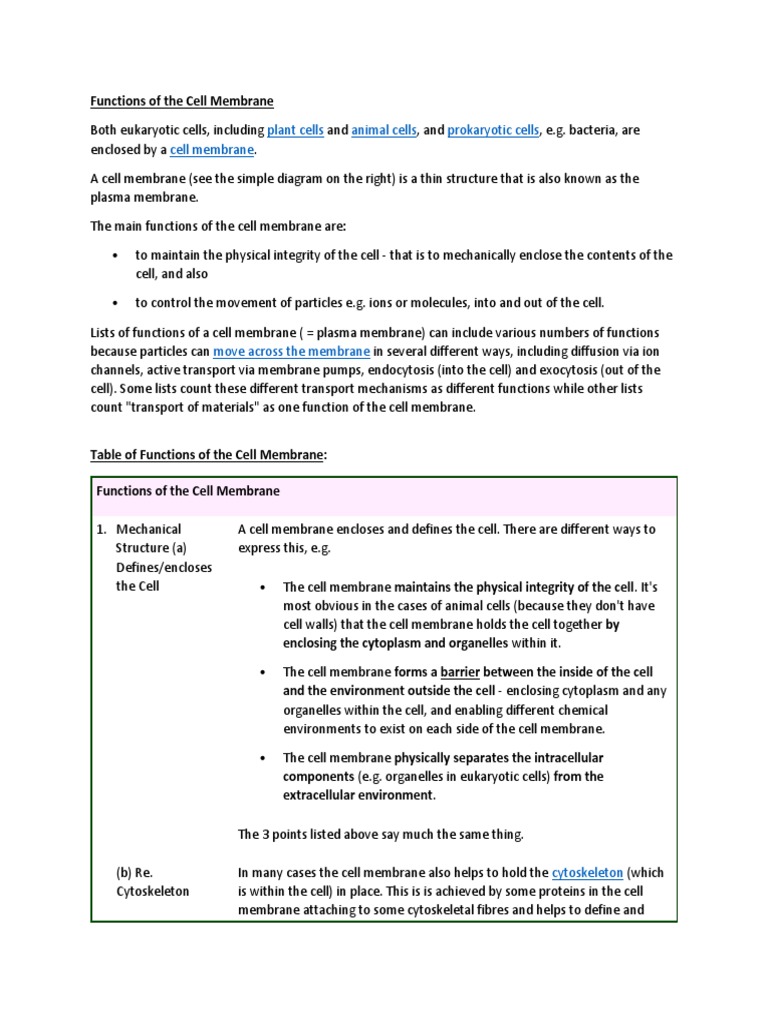 Get Cell Membrane Function In Animal Cell PNG