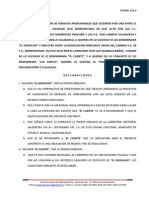 Contrato Gruas Del Carmen PDF