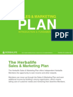 Sales & Marketing Plan - Introduction and Fundamentals