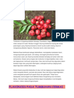 Download tanaman mengandung flavonoid by Idayu Windriyana SN239364350 doc pdf