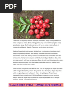 Download tanaman mengandung flavonoid by Idayu Windriyana SN239364350 doc pdf