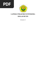 Download Laporan_Praktikum_Fitokimia by unimintt SN239378890 doc pdf
