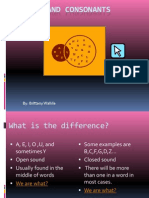 Vowels and Consonants: By: Brittany Wahila