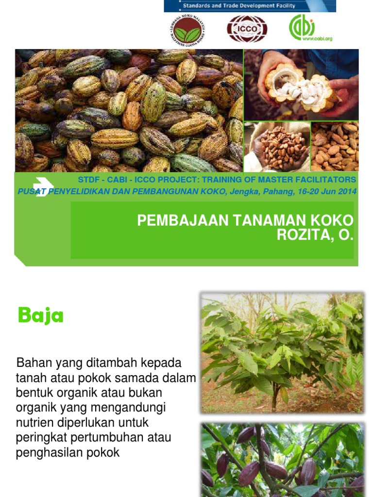 Peronda Ditukar Menjadi Penyembur Mulsa: Inovasi Baru dalam Pembajaan Tanaman