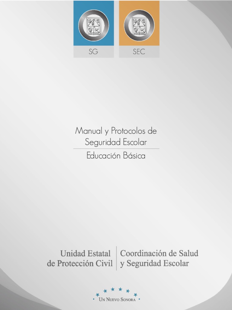 Manual y Protocolo de Seguridad Escolar | PDF | Primeros auxilios ...