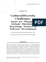 Cultural Diversity Challenges