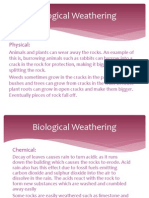 biological weathering