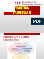 Practica # 01 - Patologia Pulmonar 2013 Fibrosis Antracosis