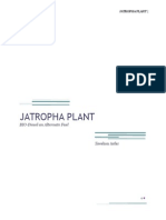 Jatropha Plant: BIO-Diesel An Alternate Fuel