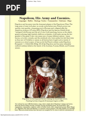 Napoleon His Army And Enemies