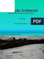 Poluição Ambiental