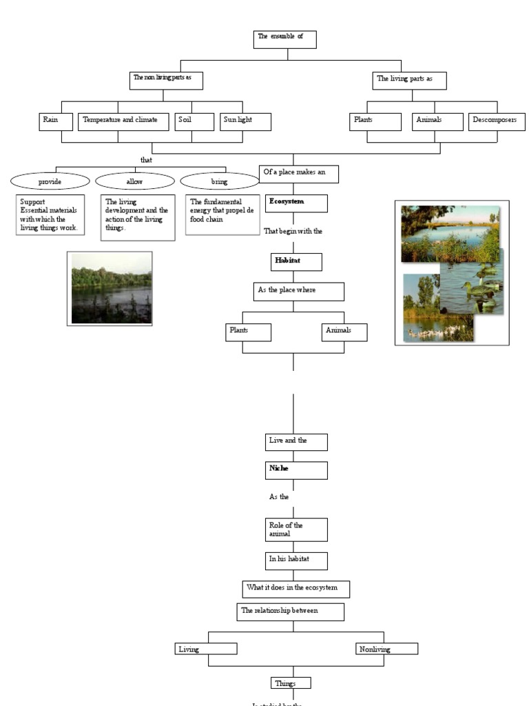 Ecosystem: Living and Nonliving Components | PDF | Science & Mathematics