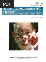 sistemas sensoriales
