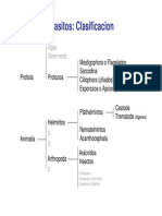 Parasitosprotozoos Microbiologiafarmacia1 140204001515 Phpapp02