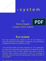 Eco-System: by Pratyay Ganguly Lecturer, CIEM, Kolkata