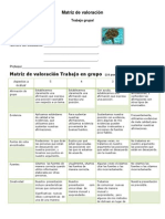 Matriz de Valoracin Trabajo Grupal