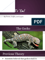 Gecko Presentation