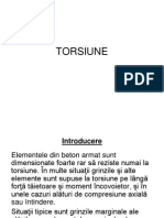 131249596-TORSIUNE