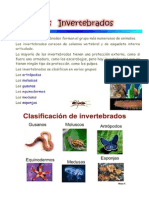 Invertebrados Imprimir Urgente