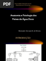 Anatomia Peixe