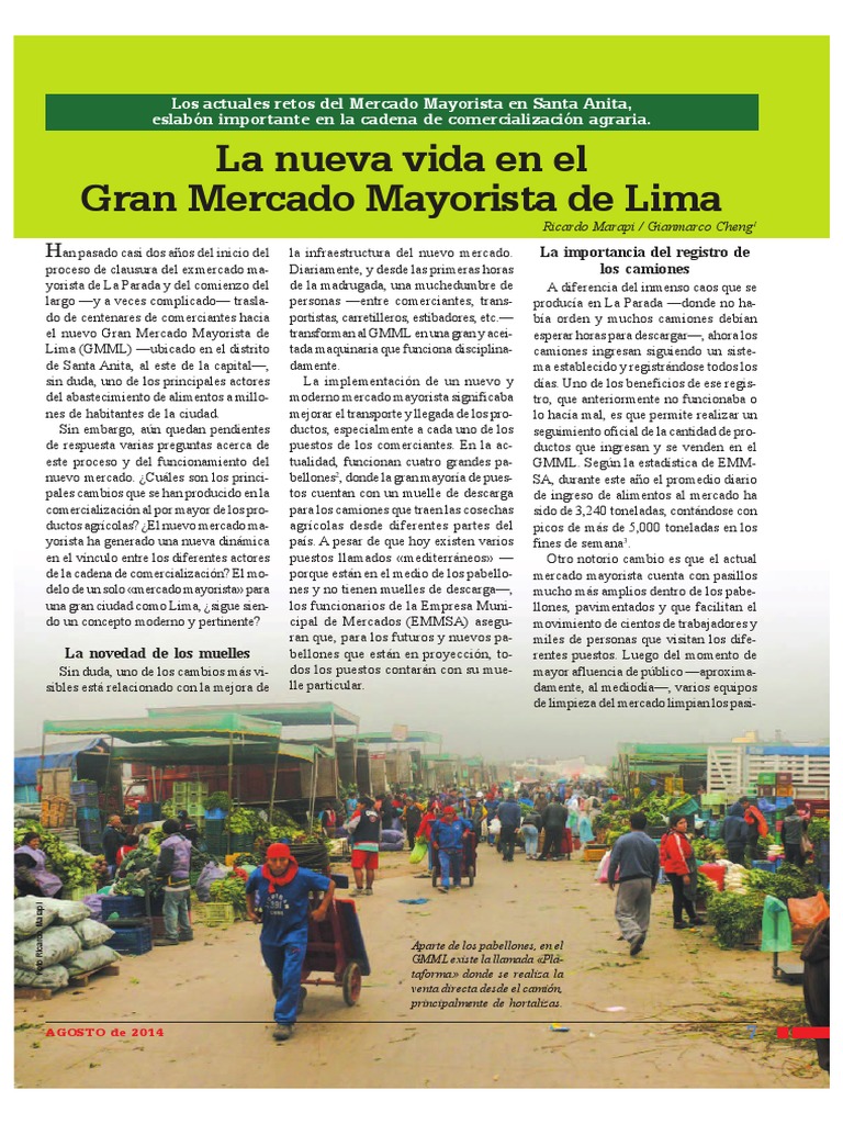 La Nueva Vida en El Gran Mercado Mayorista de Lima | PDF