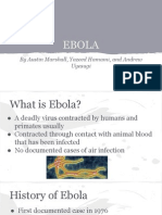 Ebola Presentation