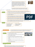 Operadores y Plataformas Logisticas_ Tenicela Carrillos