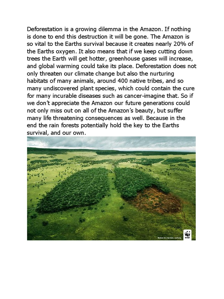 Summary 100 150 Words Amazon Deforestation Pdf Deforestation Amazon Rainforest