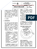 Ciclo Celular - Semana 6 (Reparado)